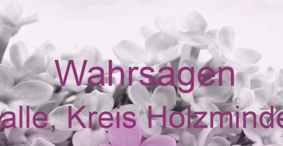 Wahrsagen Halle, Kreis Holzminden | Top-Experten für Kartenlegen, Wahrsagen, Hellsehen, Zukunftsdeutung. Wahrsagen Halle, Kreis Holzminden | Top-Experten für Kartenlegen, Wahrsagen, Hellsehen, Zukunftsdeutung.
